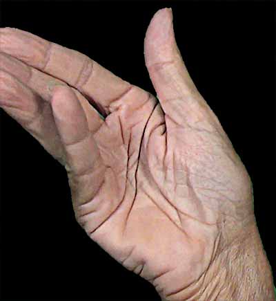 Diagonal hand folds